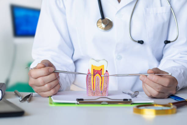 Best Emergency Broken Tooth Repair in North Lakeville, MA